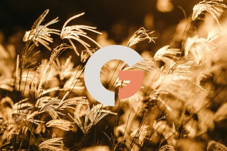 image de champ de blé avec le logo Global Nutrition